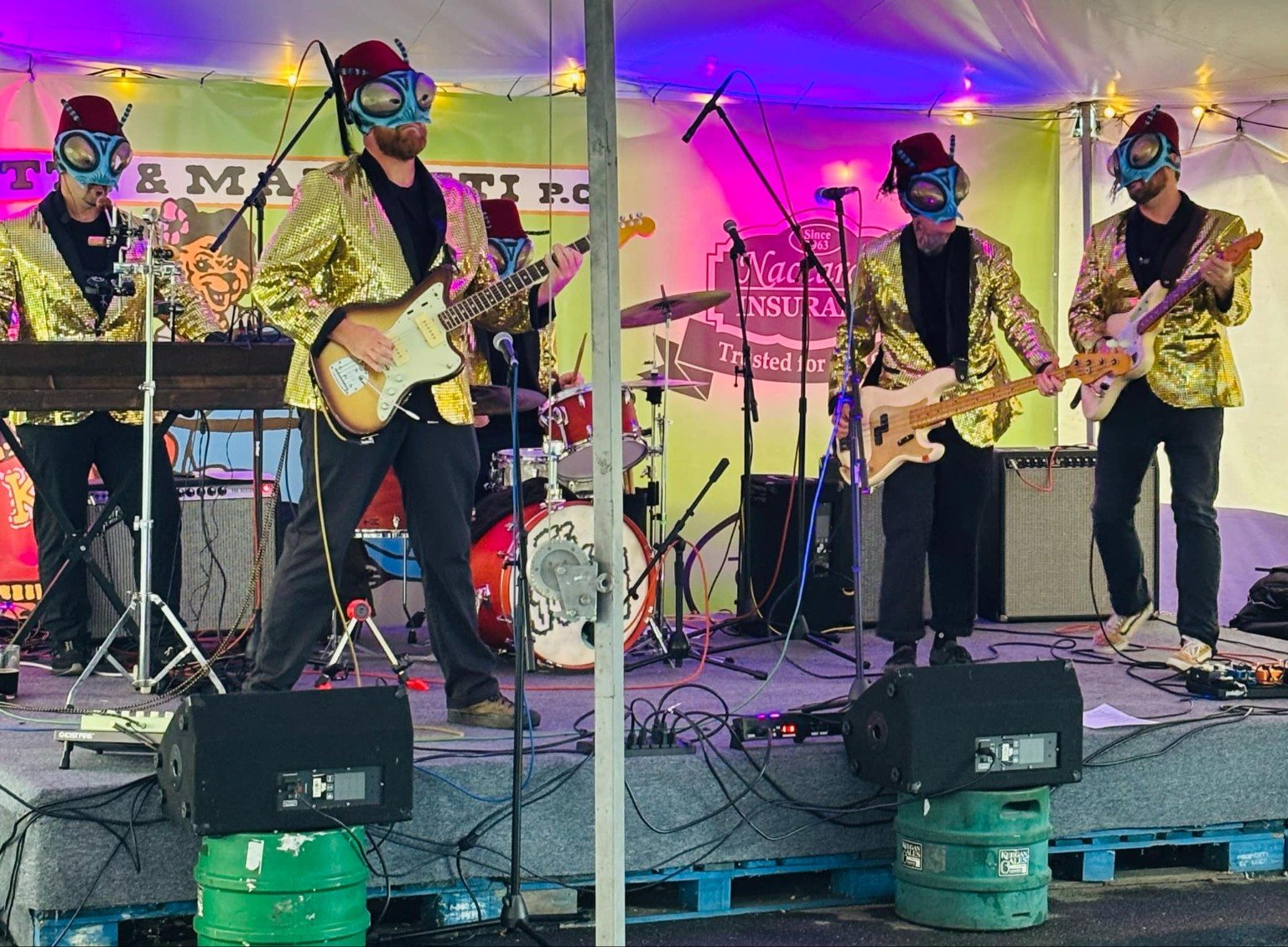 The Sci-Flies performing live